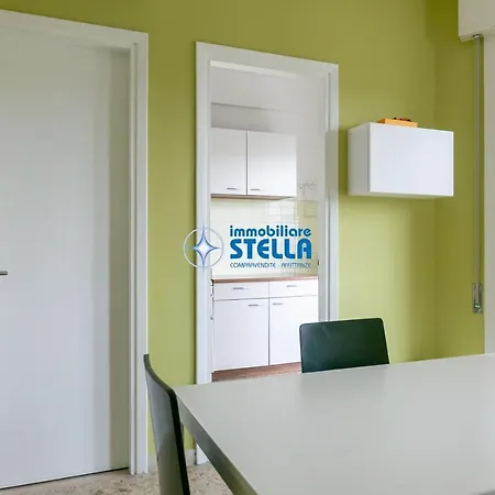 Appartement Commerciale